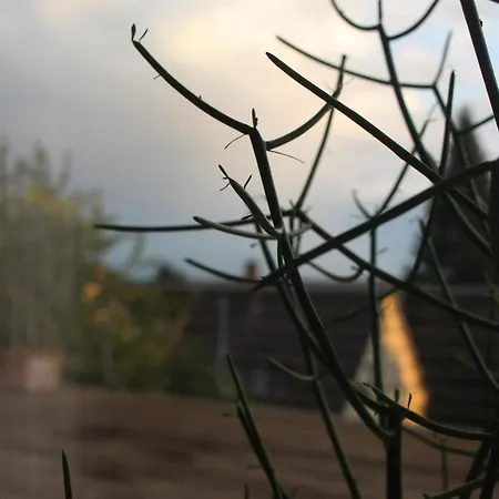 Zuhause Mit Berg-und Bodenseesicht *