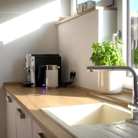 Apartment Zuhause Mit Berg-und Bodenseesicht *