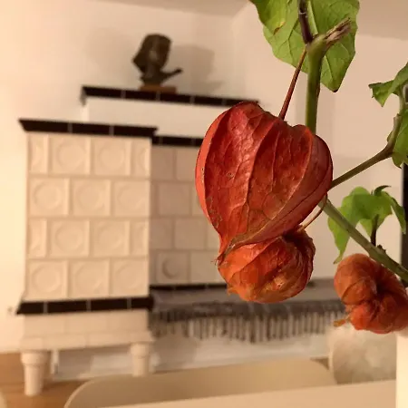 Zuhause Mit Berg-und Bodenseesicht 아파트 마르크도르프