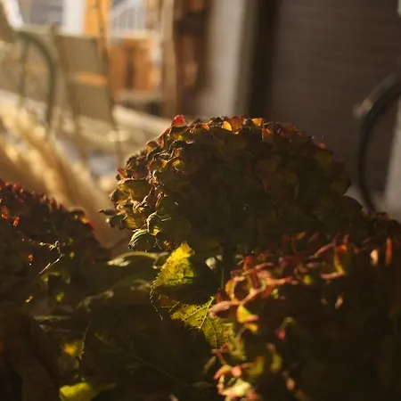 아파트 Zuhause Mit Berg-und Bodenseesicht 마르크도르프