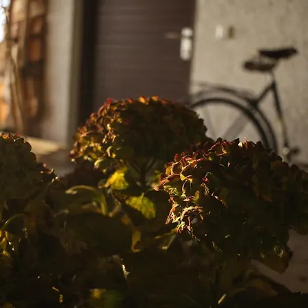 Zuhause Mit Berg-und Bodenseesicht 아파트