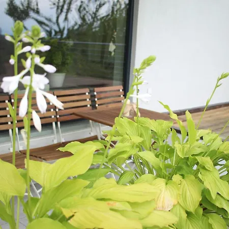 Zuhause Mit Berg-und Bodenseesicht 公寓