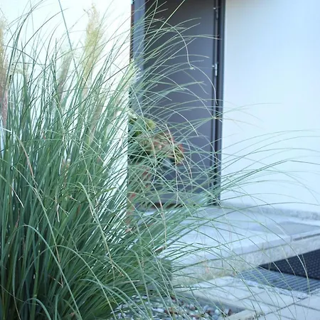 Zuhause Mit Berg-und Bodenseesicht 마르크도르프