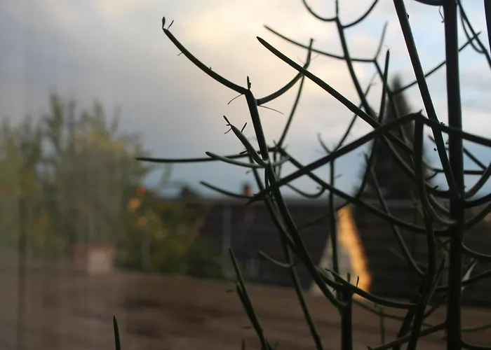 Zuhause Mit Berg-und Bodenseesicht *