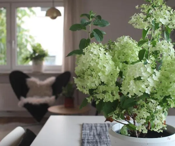 Zuhause Mit Berg-und Bodenseesicht Lägenhet Markdorf