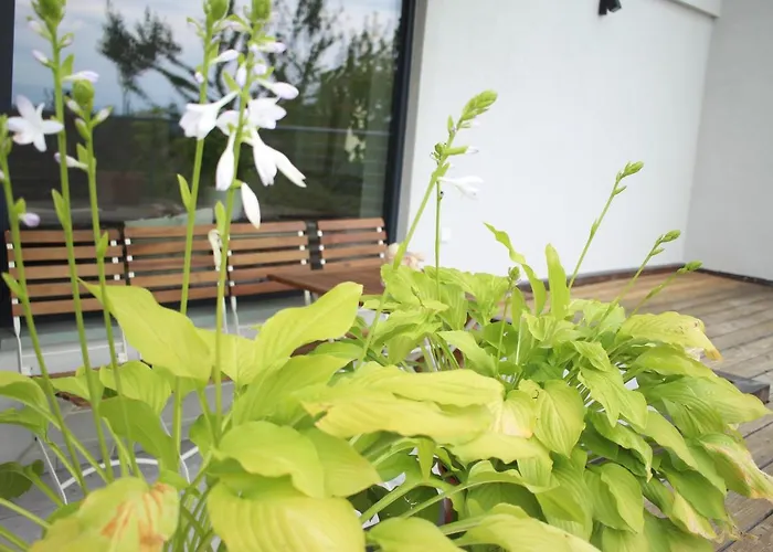 Zuhause Mit Berg-und Bodenseesicht Lägenhet *