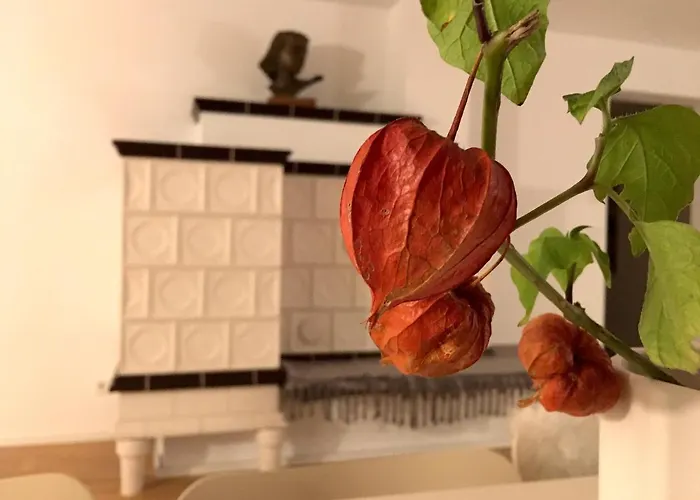 Zuhause Mit Berg-und Bodenseesicht Lägenhet Markdorf