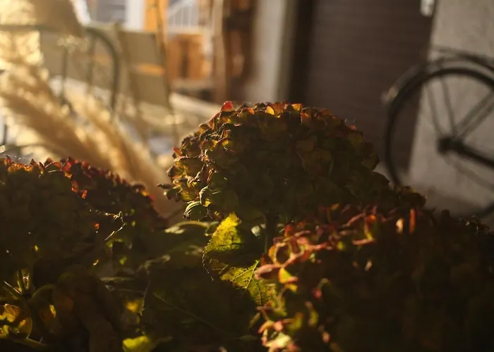 Lägenhet Zuhause Mit Berg-und Bodenseesicht Markdorf