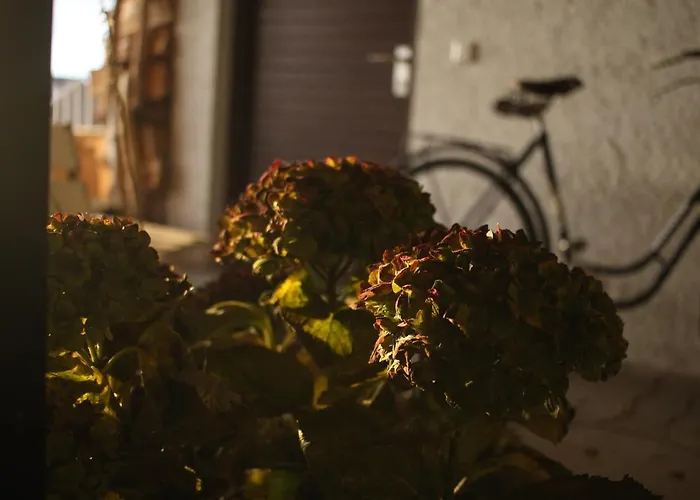 Zuhause Mit Berg-und Bodenseesicht Lägenhet